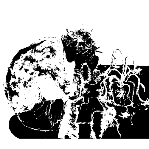 reimpulse